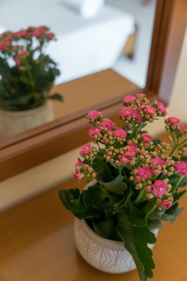 Ammousa Hotel Apartments Ликсури Екстериор снимка