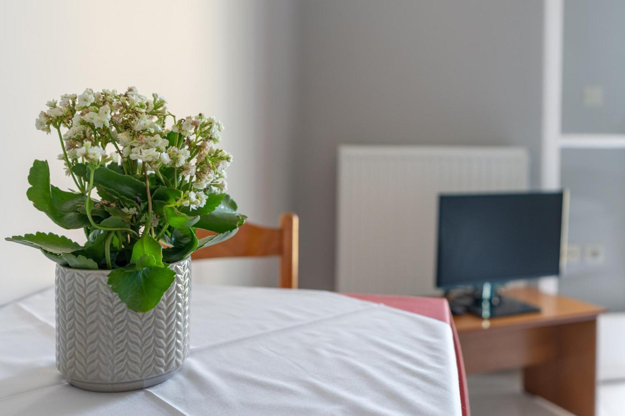 Ammousa Hotel Apartments Ликсури Екстериор снимка